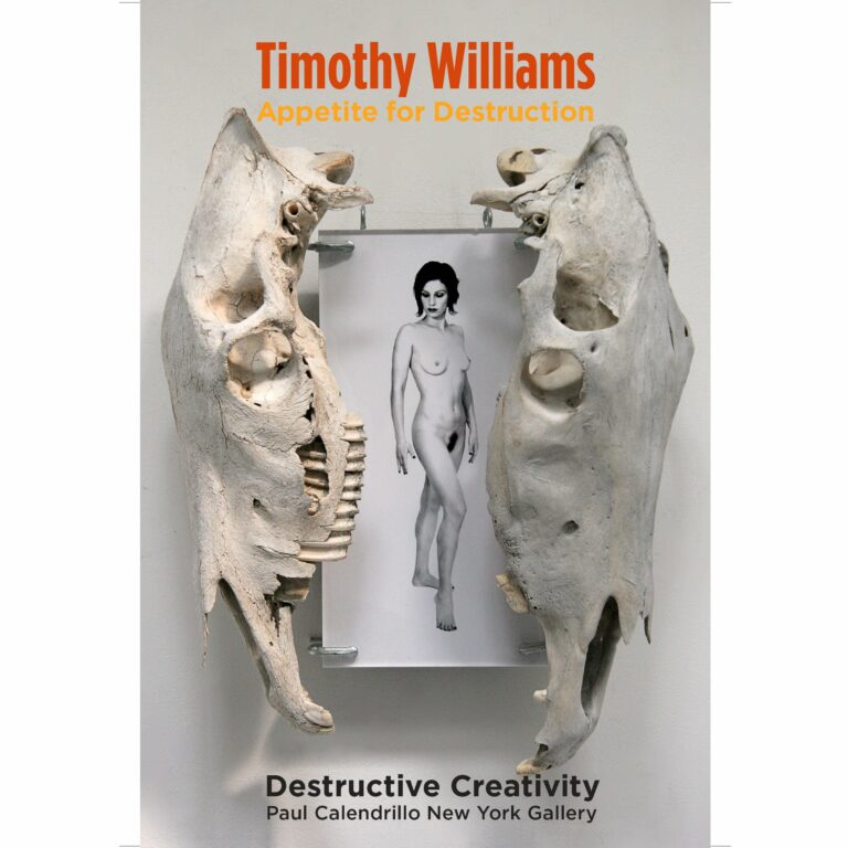 Timothy Williams one man show book