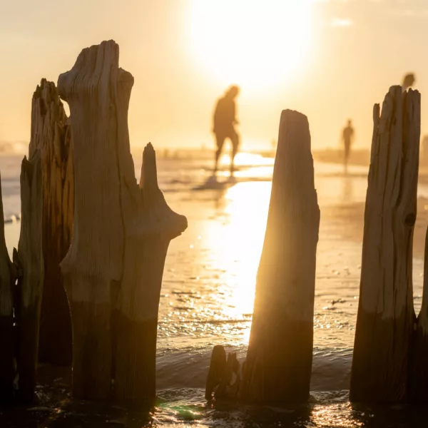 broken pier - Bryan Thatcher The golden hour at the beach captured through a weathered wooden barrier partially buried in the sand. Sunlight filters through, casting a radiant backdrop for silhouetted figures strolling along the shoreline. The ocean's gentle tide reflects the sun's gleam, accentuating the peaceful end of day ambiance.